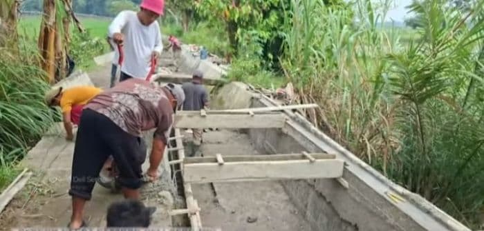 rehabilitasi_irigasi_rusak_pasca_banjir_pemkab_deli_serdang_selamatkan_172_hektare_sawah_
