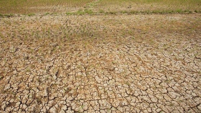brin_prediksi_el_nino_godzilla_2026_indonesia_terancam_kemarau_panjang_dan_risiko_kesehatan