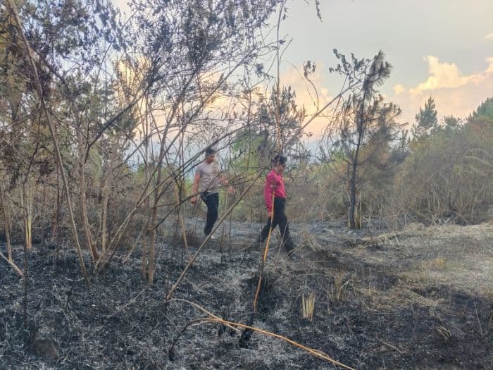musim_kemarau_polres_toba_ingatkan_bahaya_bakar_lahan