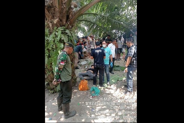 pria_55_tahun_ditemukan_meninggal_di_kebun_sawit_adolina_warga_sempat_heboh