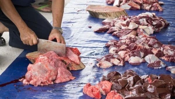 tips_menyimpan_daging_kurban_agar_awet_dan_tidak_bau