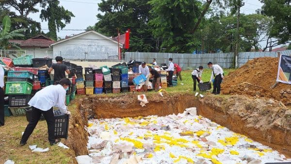 146_ton_mangga_selundupan_dimusnahkan_empat_orang_ditetapkan_tersangka