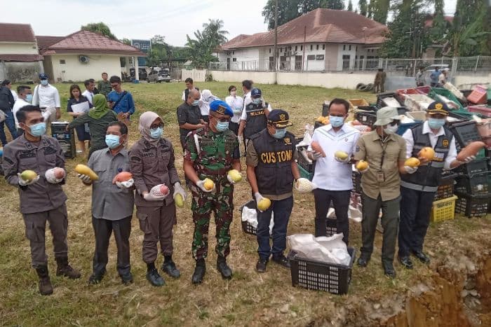 pengungkapan_penyelundupan_mangga_diduga_berwabah_penyakit