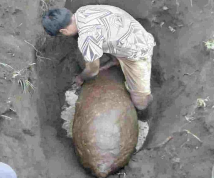 warga_temukan_benda_mirip_rudal_ukuran_besar_di_areal_kebun_sawit_langkat