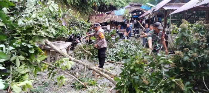 pohon_tumbang_timpa_kabel_listrik_di_bahorok_sempat_padam