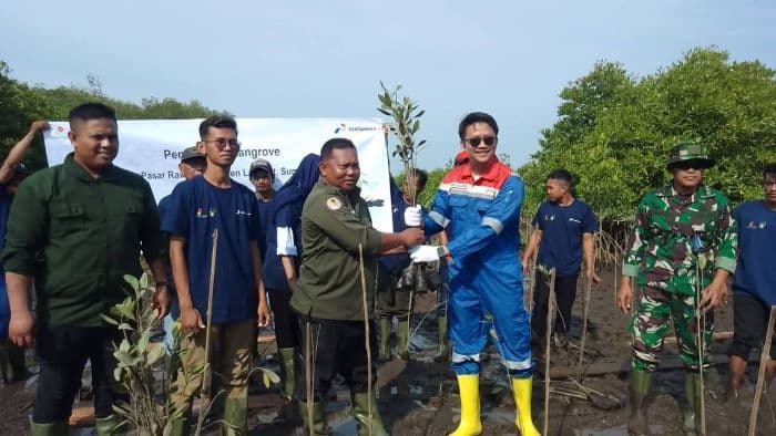 peringati_hari_mangrove_sedunia_pertamina_tanam_seribu_pohon_di_langkat_