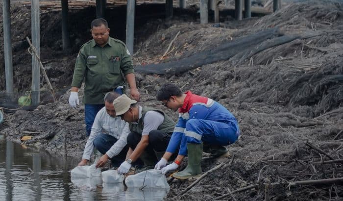 peringati_hari_mangrove_sedunia_pertamina_ep_pangkalan_susu_tanam_2500_bibit_bakau