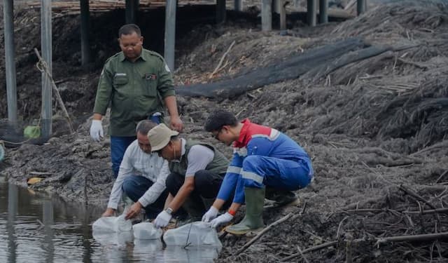peringati_hari_mangrove_sedunia_pertamina_ep_pangkalan_susu_tanam_2500_bibit_bakau