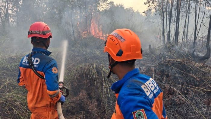 enam_perusahaan_kena_sanksi_terkait_karhutla_di_kalimantan