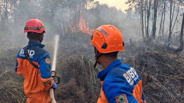 enam_perusahaan_kena_sanksi_terkait_karhutla_di_kalimantan