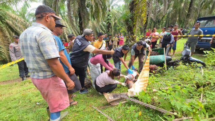 petani_sawit_ditemukan_meninggal_dunia_di_areal_perladangan_
