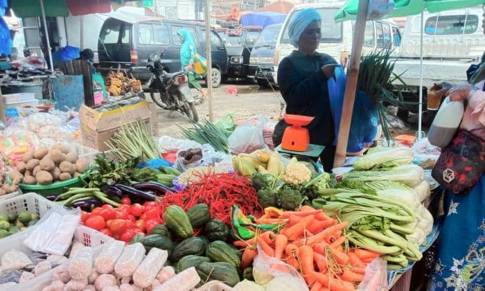 harga_cabai_merah_stabil_rp60000_per_kilogram_di_pasar_porsea_