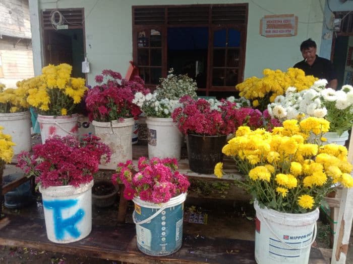 akhir_tahun_2025_penjual_bunga_mulai_menjamur_di_porsea_toba