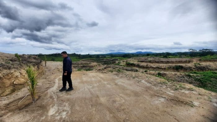 alih_fungsi_kebun_teh_jadi_sawit_di_sidamanik_picu_kekhawatiran_banjir_dan_longsor