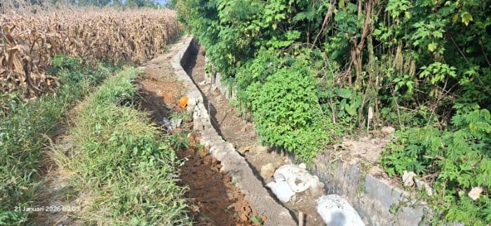 jaringan_irigasi_tidak_berfungsi_kepala_desa_sosor_lontung_di_dairi_akui_daerahnya_terancam_krisis_pangan