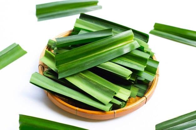 khasiat_rebusan_daun_pandan_salah_satunya_bisa_meningkatkan_nafsu_makan