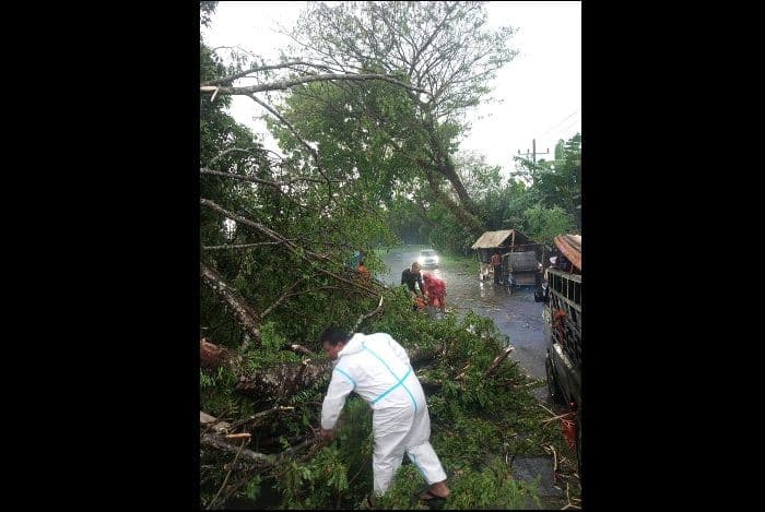 hujan_deras_dan_angin_kencang_terjang_binjai_sejumlah_pohon_tumbang_hambat_lalu_lintas