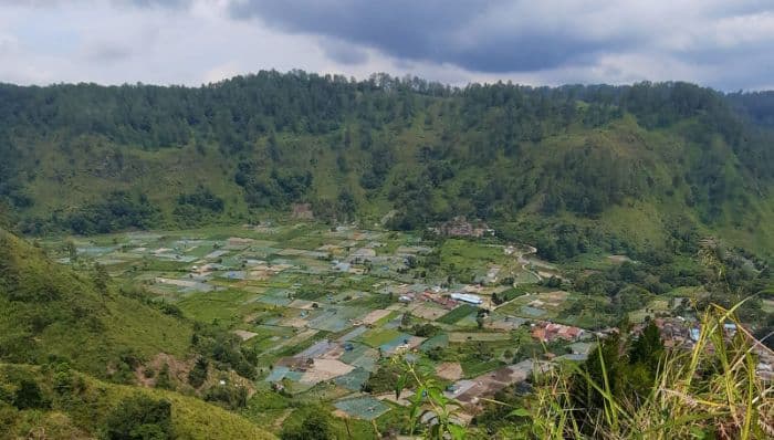 target_42_desa_mandiri_2026_dpmpn_simalungun_siapkan_37_nagori