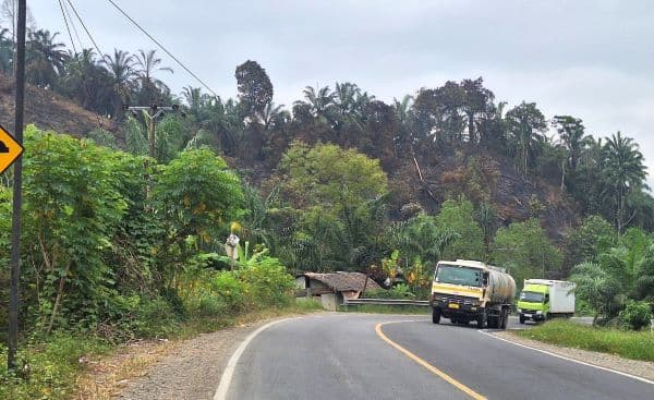 bukan_hutan_camat_besitang_lahan_warga_yang_terbakar_di_desa_halaban
