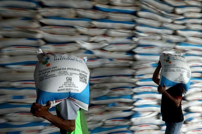 petani_cabai_sumut_terhimpit_harga_anjlok_biaya_pupuk_melonjak_akibat_geopolitik