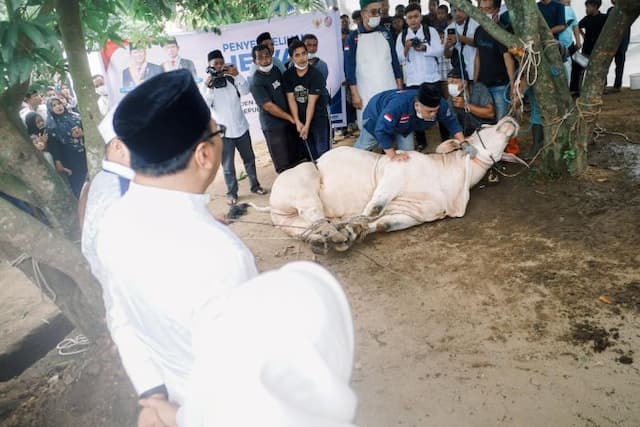 bupati_deli_serdang_tinjau_kurban_presiden_dan_resmikan_rph_pertama_di_tanjung_morawa