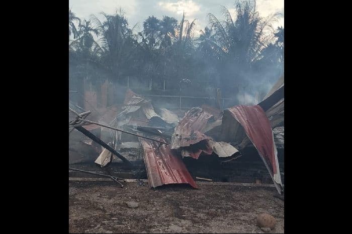 kebakaran_hebat_hanguskan_peternakan_ayam_di_deli_serdang_kerugian_capai_miliaran