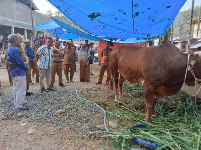 masjid_alhuda_tapteng_bagikan_daging_kurban_untuk_warga_non_muslim_pascabencana