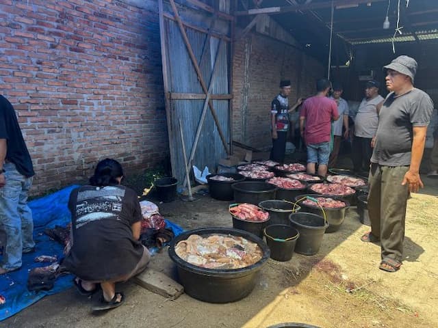 muhammadiyah_pematangsiantar_sembelih_45_sapi_dan_24_kambing_kurban