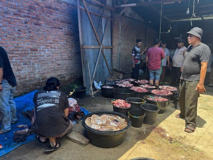 muhammadiyah_pematangsiantar_sembelih_45_sapi_dan_24_kambing_kurban