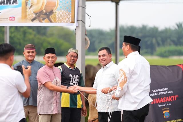 polda_sumut_sembelih_31_ekor_sapi_kurban_milik_kapolda_berbobot_1_ton