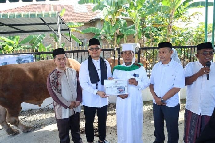 presiden_prabowo_serahkan_sapi_kurban_820_kg_untuk_warga_tanjungbalai