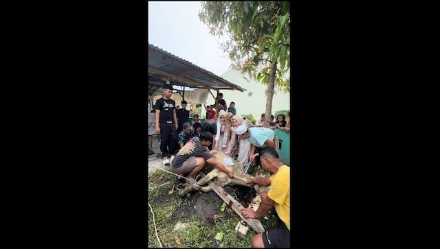 warga_lubuk_pakam_sembelih_puluhan_hewan_kurban_masjid_dan_kompleks_perumahan_ramai_kegiatan_iduladha