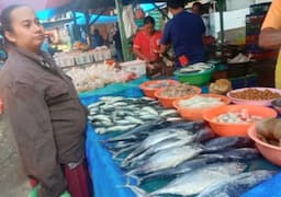 harga_ikan_kembung_turun_rp10000_di_toba_