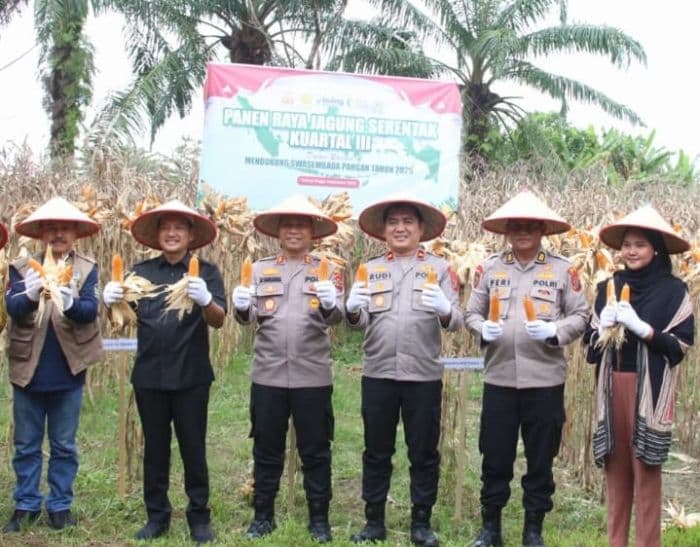 kapolres_dan_wali_kota_tebing_tinggi_panen_raya_jagung_di_halaman_asrama_polsek_padang_hulu