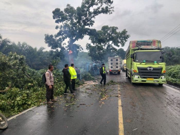 mobil_box_tabrak_pohon_di_jalinsum_labusel_lalu_lintas_sempat_macet_parah