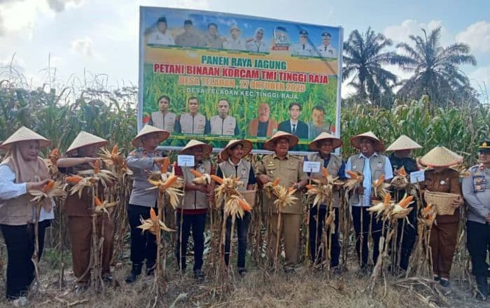 kolaborasi_pemkab_asahantani_merdeka_sukses_panen_raya_jagung_di_tinggi_raja_