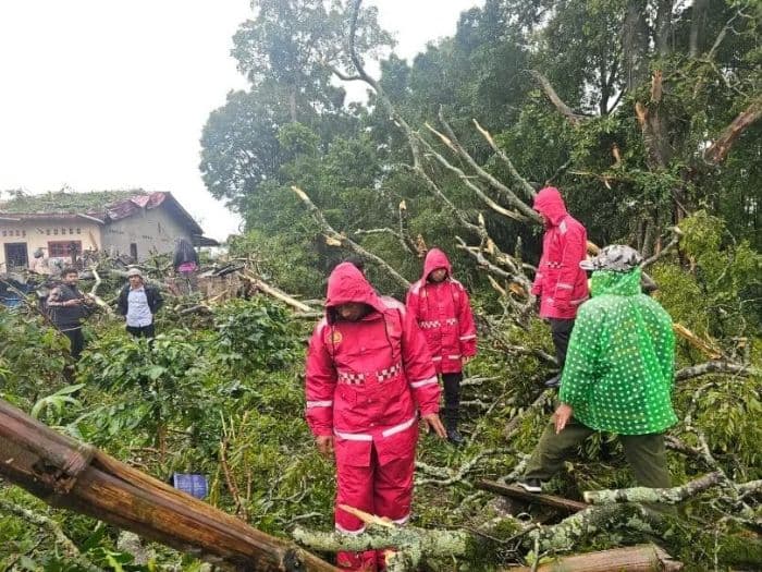 hujan_ekstrem_picu_longsor_di_karo_dua_rumah_tertimpa_pohon