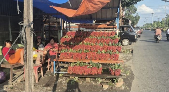 penjualan_rambutan_di_binjai_turun_drastis_pasca_banjir_pedagang_mengeluh