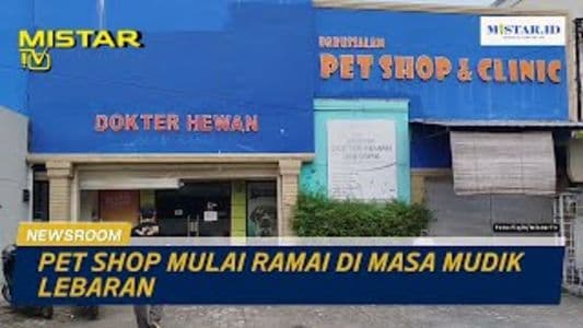 newsroom_pet_shop_mulai_ramai_di_masa_mudik_lebaran
