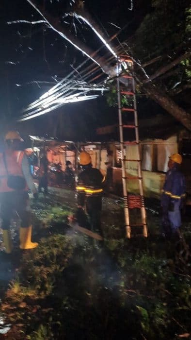 pohon_tumbang_timpa_jaringan_kabel_aliran_listrik_di_sibolga_dan_tapteng_padam_