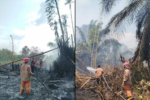 musim_kemarau_karhutla_simalungun_hanguskan_4_hektare_lahan
