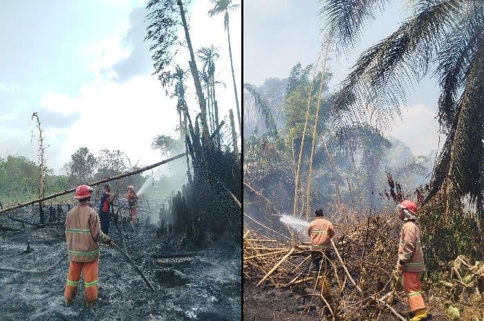 musim_kemarau_karhutla_simalungun_hanguskan_4_hektare_lahan