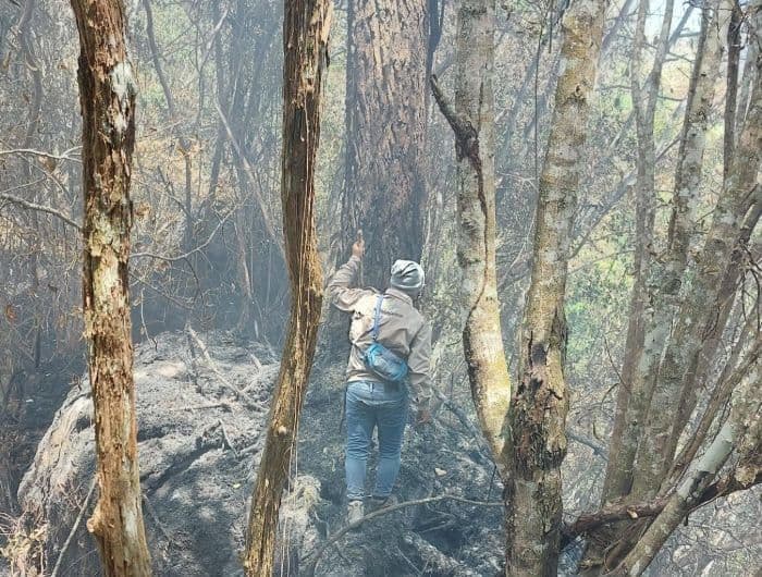 waspadai_karhutla_bpbd_simalungun_sebut_kemarau_2026_bisa_berlanjut