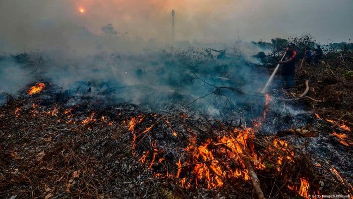 karhutla_di_riau_meluas_sudah_20_hektare_lahan_terbakar