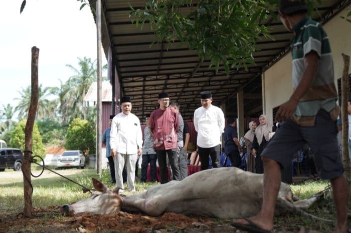 pemkab_labusel_sembelih_56_ekor_hewan_kurban_wujud_kepedulian_dan_kebersamaan_di_iduladha
