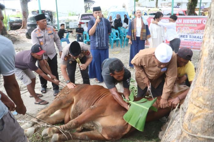 polres_simalungun_bagikan_1200_paket_kurban_ke_masyarakat