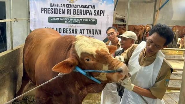 purbaya_mengaku_tak_tahu_soal_anggaran_sapi_kurban_presiden