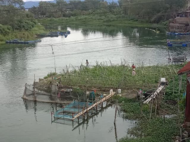 sedimen_sungai_tobaasahan_disulap_jadi_kebun_sayur_warga_soroti_pembiaran