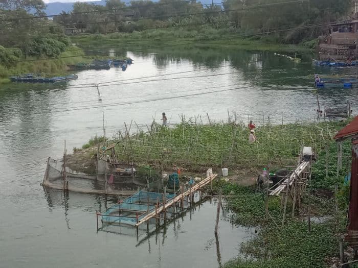 sedimen_sungai_tobaasahan_disulap_jadi_kebun_sayur_warga_soroti_pembiaran