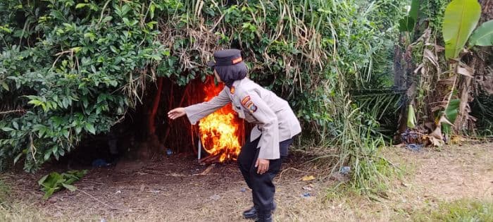 polsek_tandem_gerebek_barak_narkoba_di_deli_serdang_petugas_temukan_bong_sabu